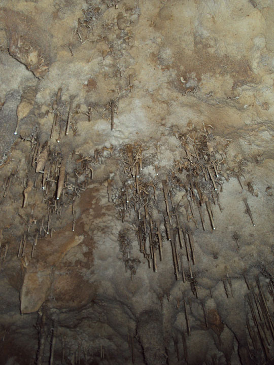 Stalagtites