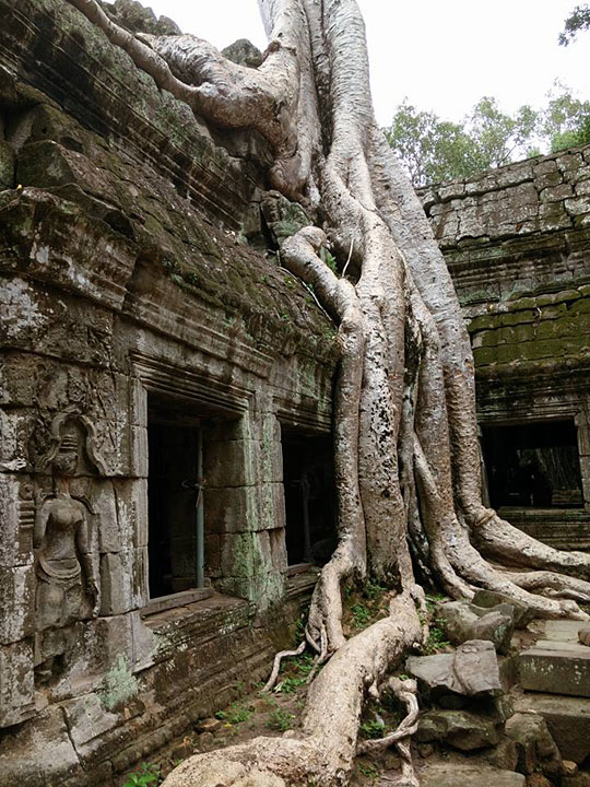 Ta Prohm