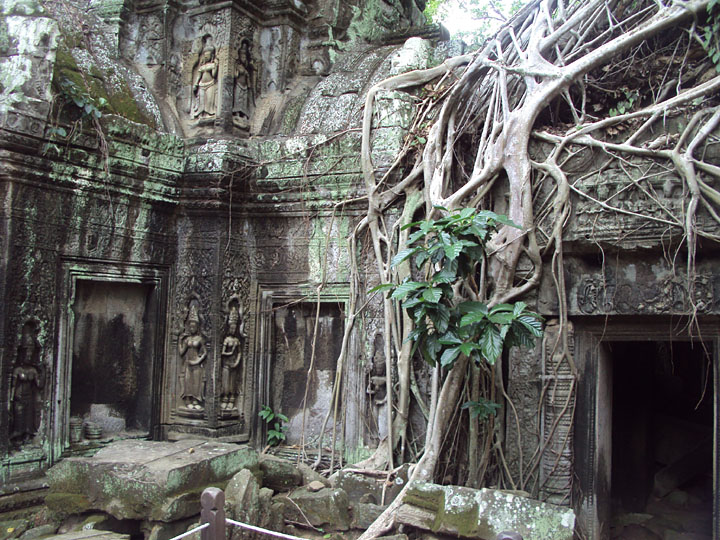 Ta Prohm