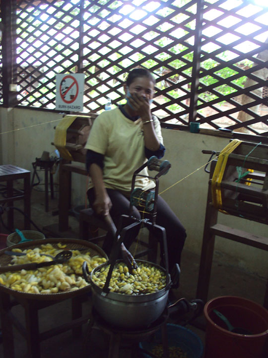 Boiling the cocoons