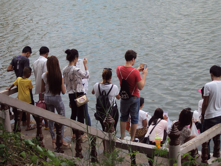 Releasing fish