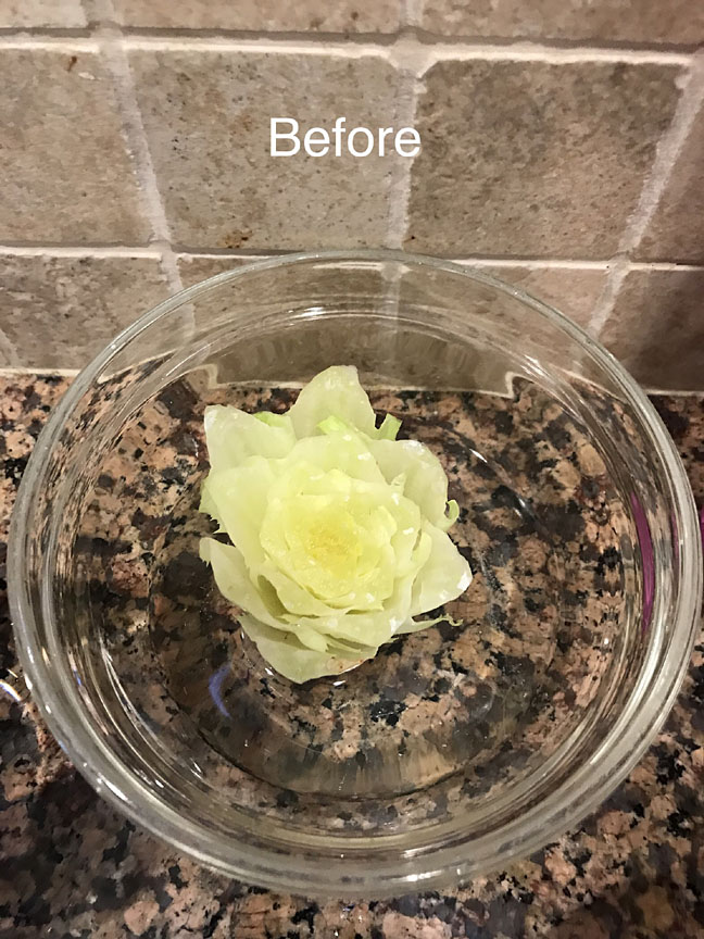 Lettuce before