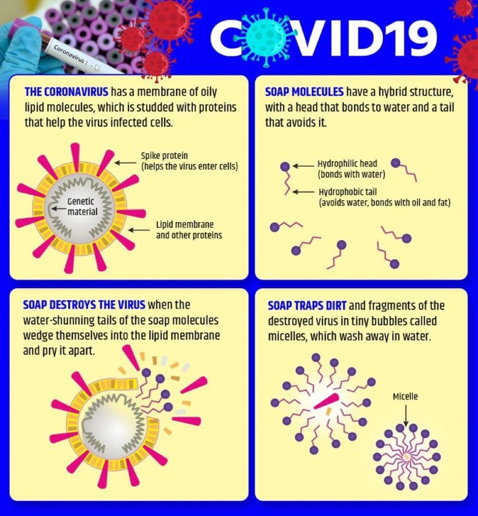 Coronavirus