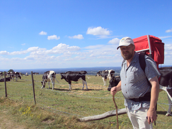 Glenn and cattle